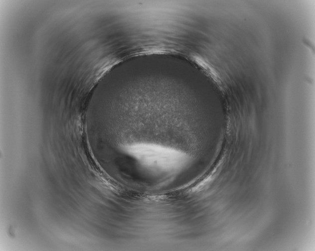 X0000096211353200802011312