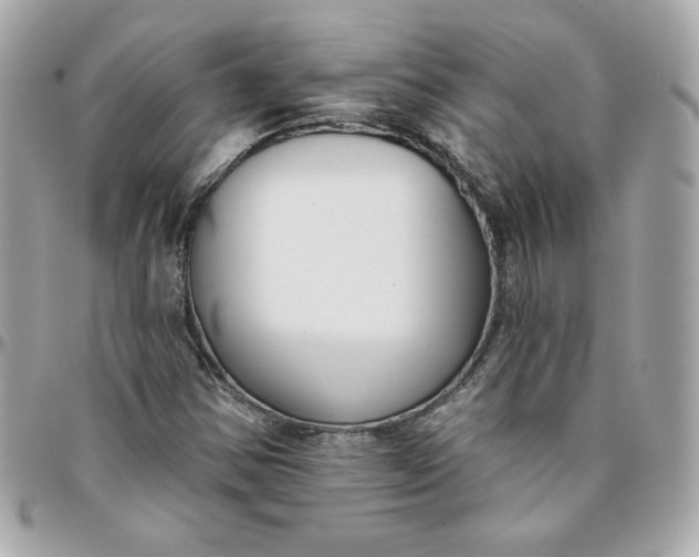 X0000096211354200802011312