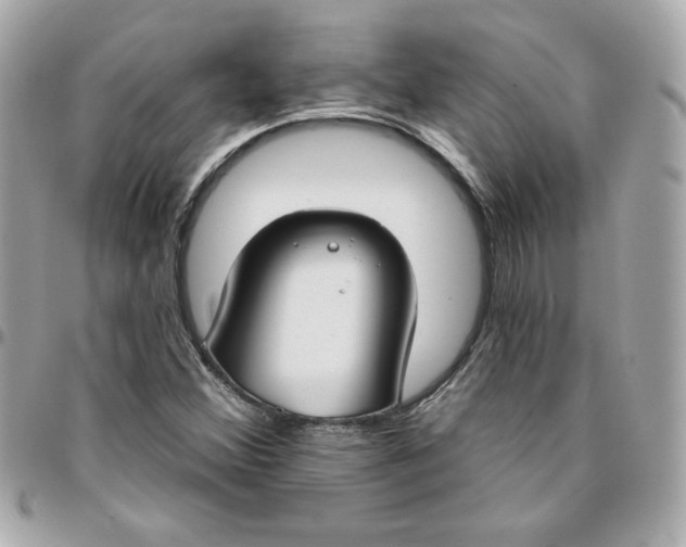 X0000096211356200802011312