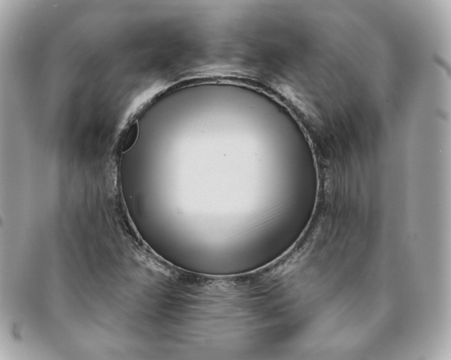 X0000096211358200802011312