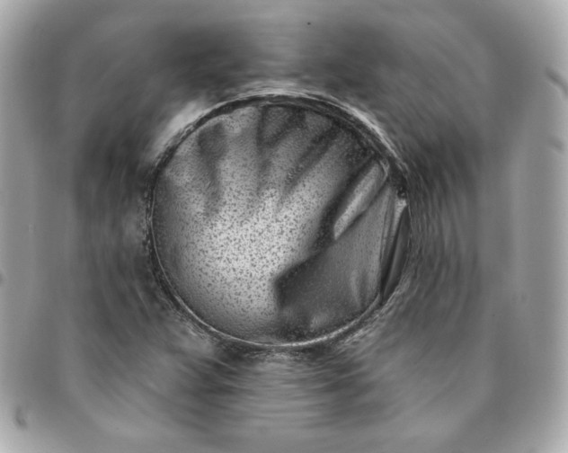 X0000096211359200802011312