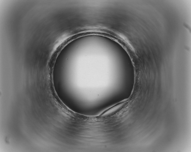 X0000096211360200802011312