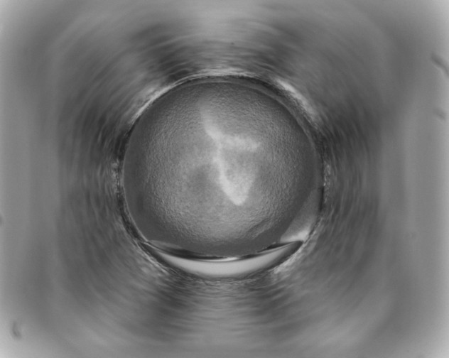 X0000096211361200802011312