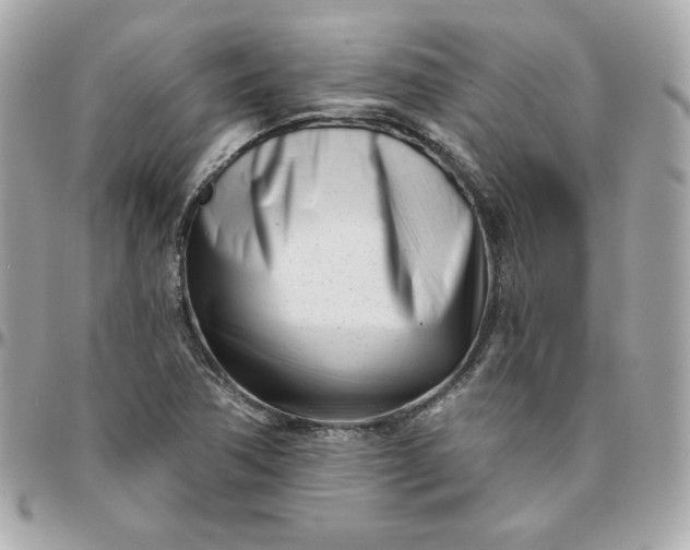 X0000096211362200802011312