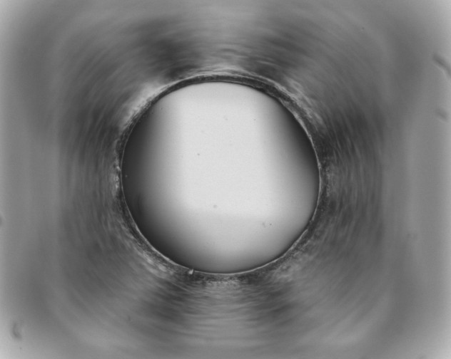 X0000096211363200802011312