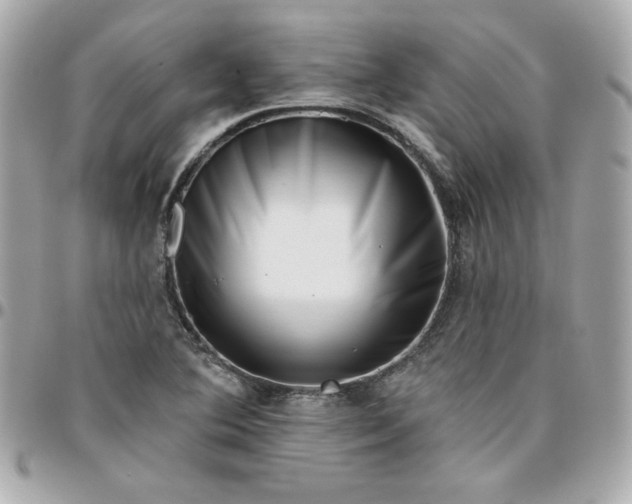 X0000096211364200802011312