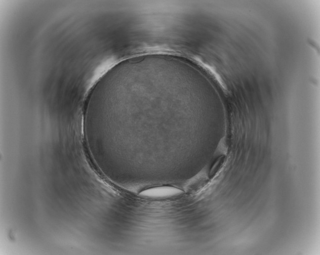 X0000096211365200802011312