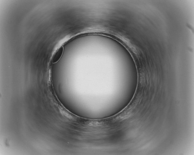 X0000096211366200802011312