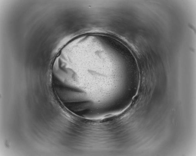 X0000096211367200802011312