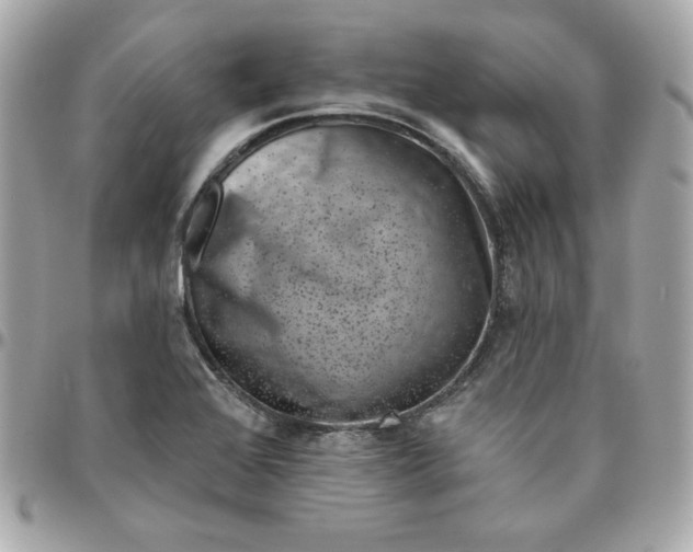 X0000096211368200802011312