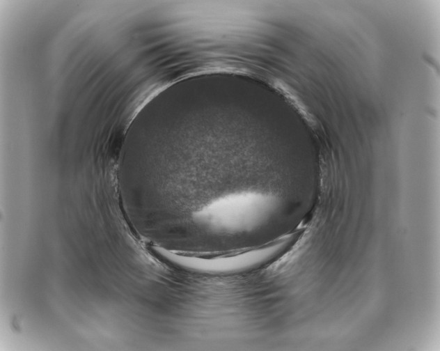 X0000096211369200802011312