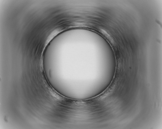 X0000096211370200802011312