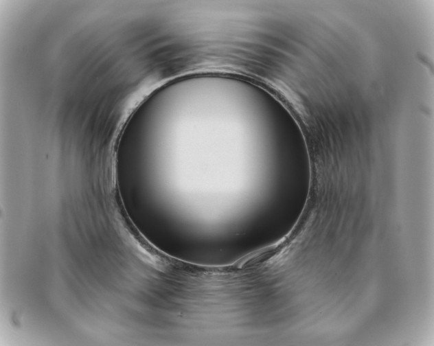 X0000096211371200802011312