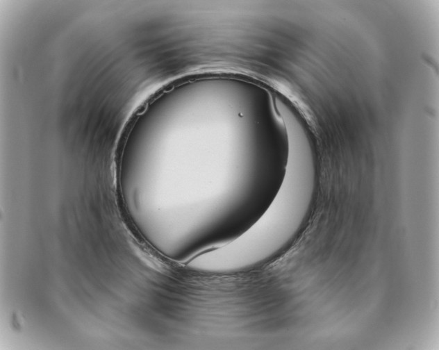 X0000096211372200802011312