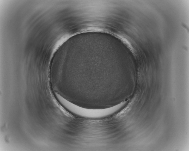 X0000096211373200802011312