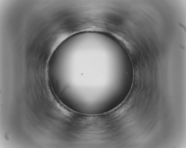 X0000096211375200802011312