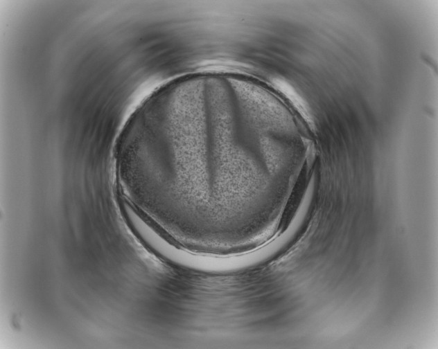 X0000096211376200802011312