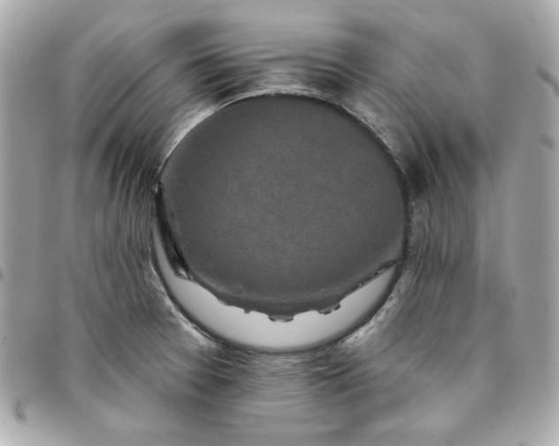 X0000096211377200802011312