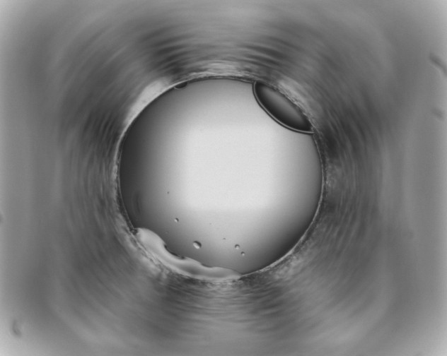 X0000096211378200802011312