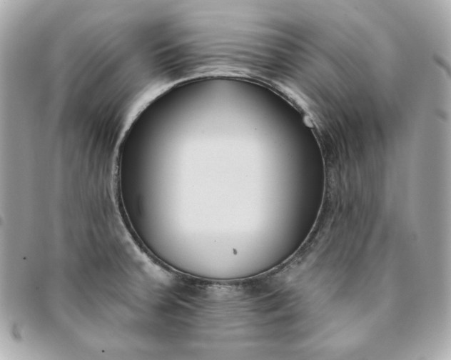 X0000096211379200802011312