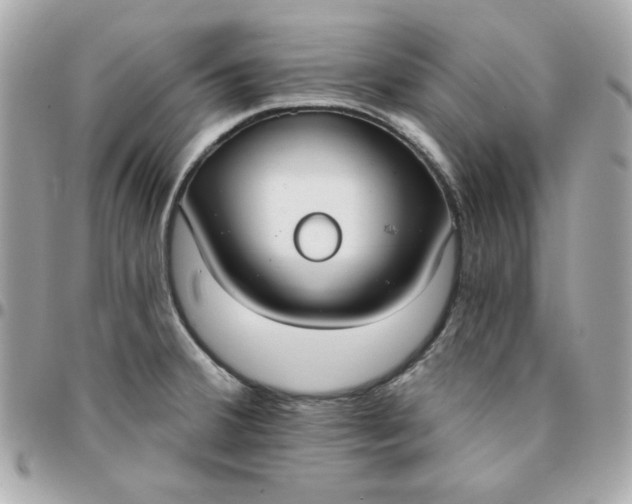 X0000096211380200802011312