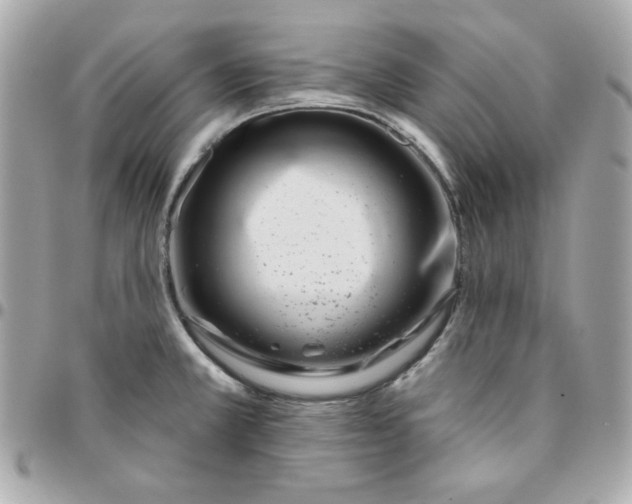 X0000096211381200802011312