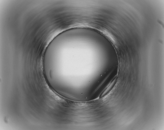 X0000096211382200802011312