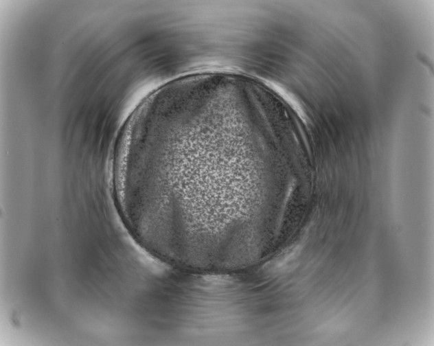 X0000096211383200802011312