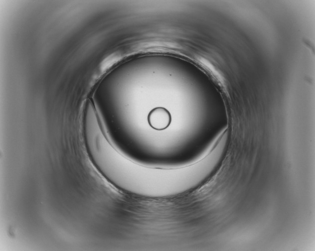 X0000096211384200802011312