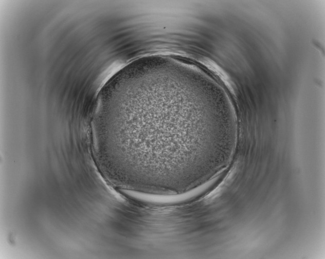 X0000096211385200802011312