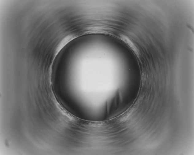 X0000096211386200802011312