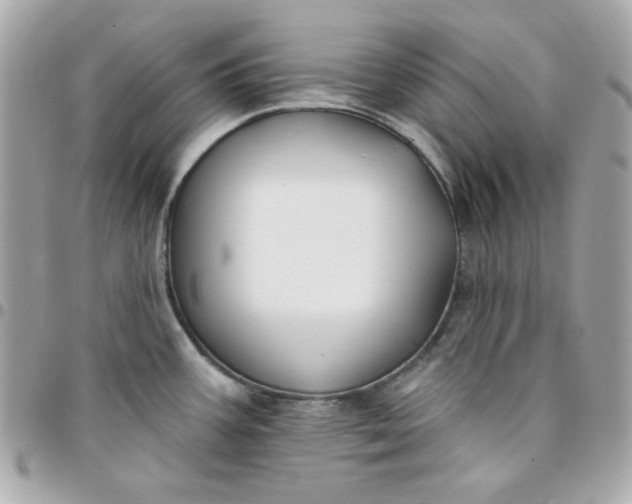 X0000096211387200802011312