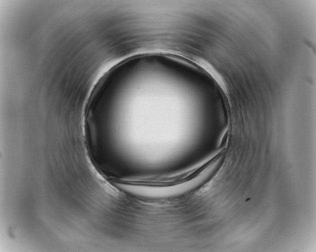 X0000096211388200802011312