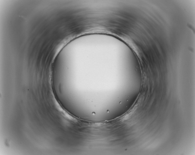 X0000096211390200802011312