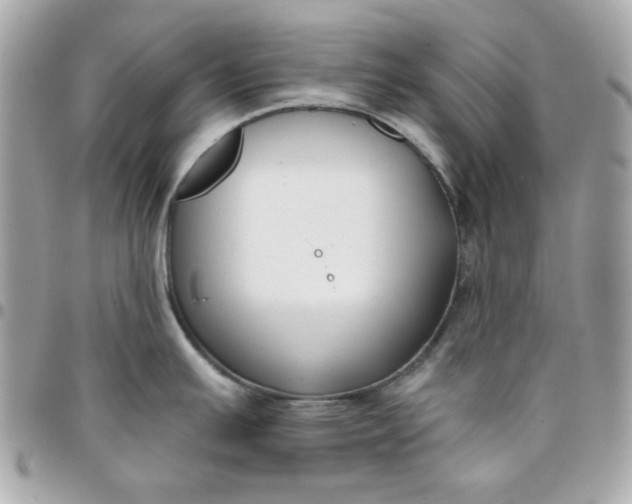 X0000096211391200802011312