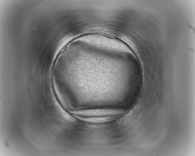 X0000096211392200802011312