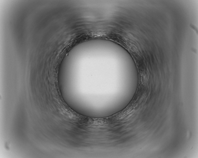 X0000096211393200802011311