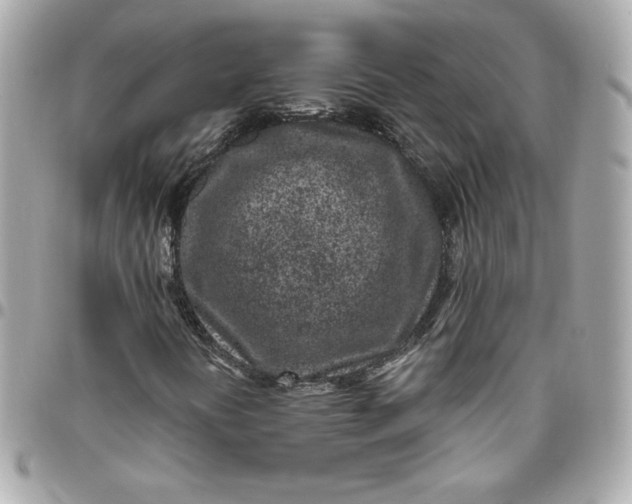 X0000096211394200802011311