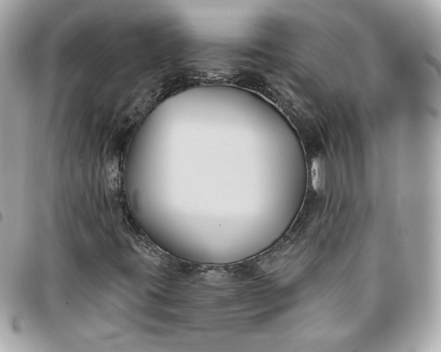 X0000096211395200802011311