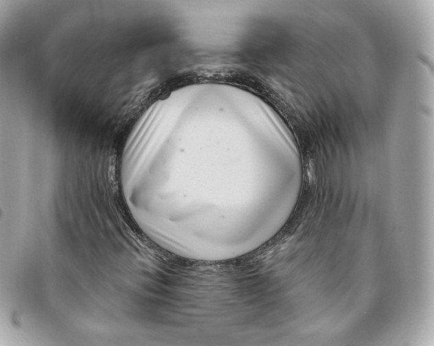 X0000096211396200802011311