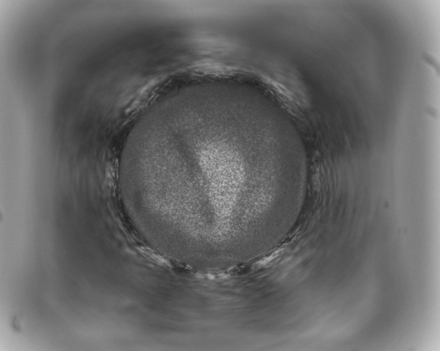 X0000096211397200802011311