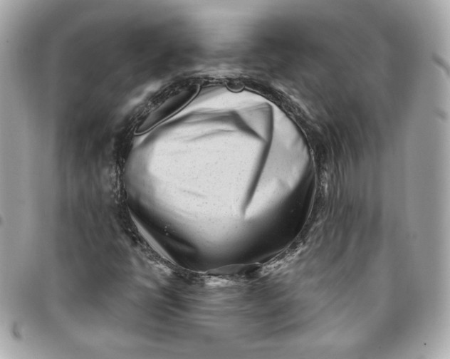 X0000096211398200802011311