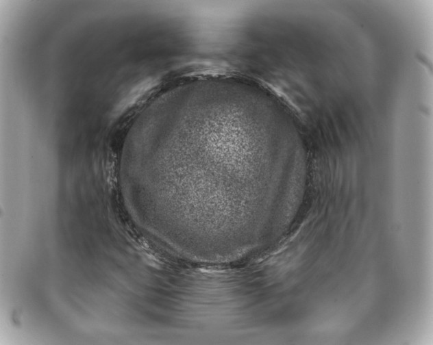 X0000096211399200802011311