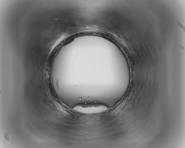 X0000096211400200802011311