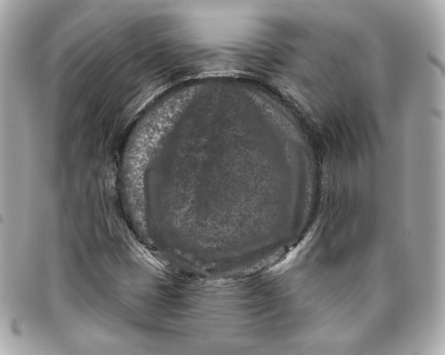 X0000096211401200802011311