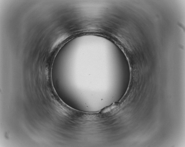 X0000096211402200802011311