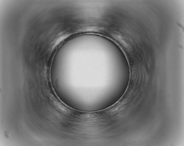 X0000096211404200802011311