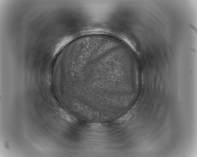 X0000096211405200802011311