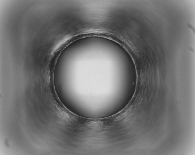 X0000096211406200802011311