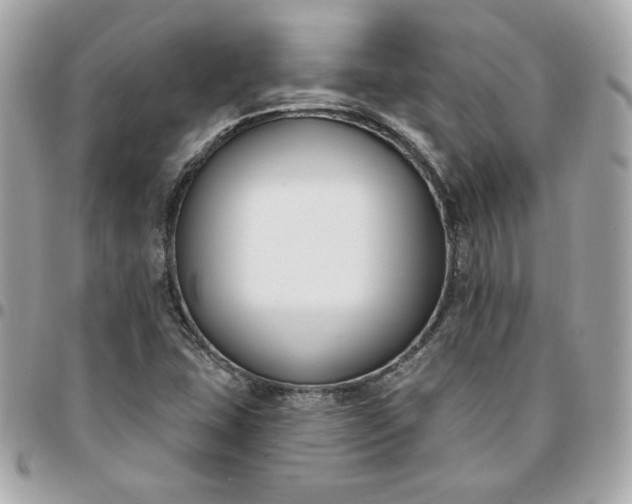 X0000096211407200802011311